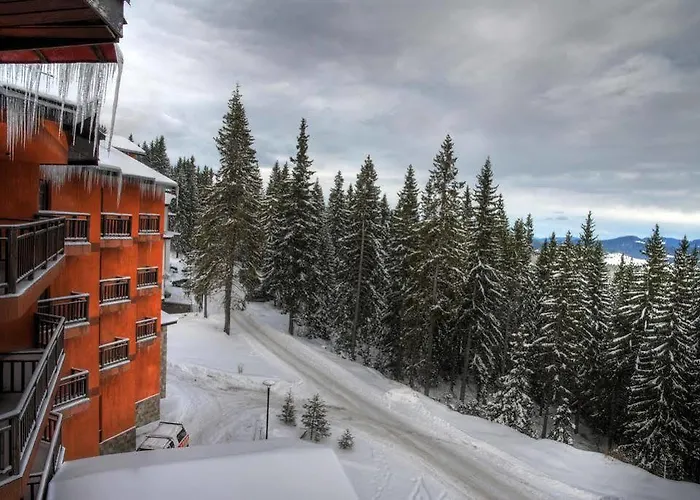 Bellevue Ski&relax - Half Board